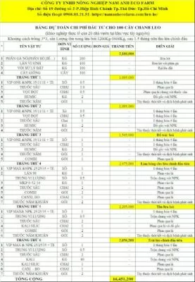 ky-thuat-trong-chanh-day-dai-nong-1-nam-anh-eco-farm